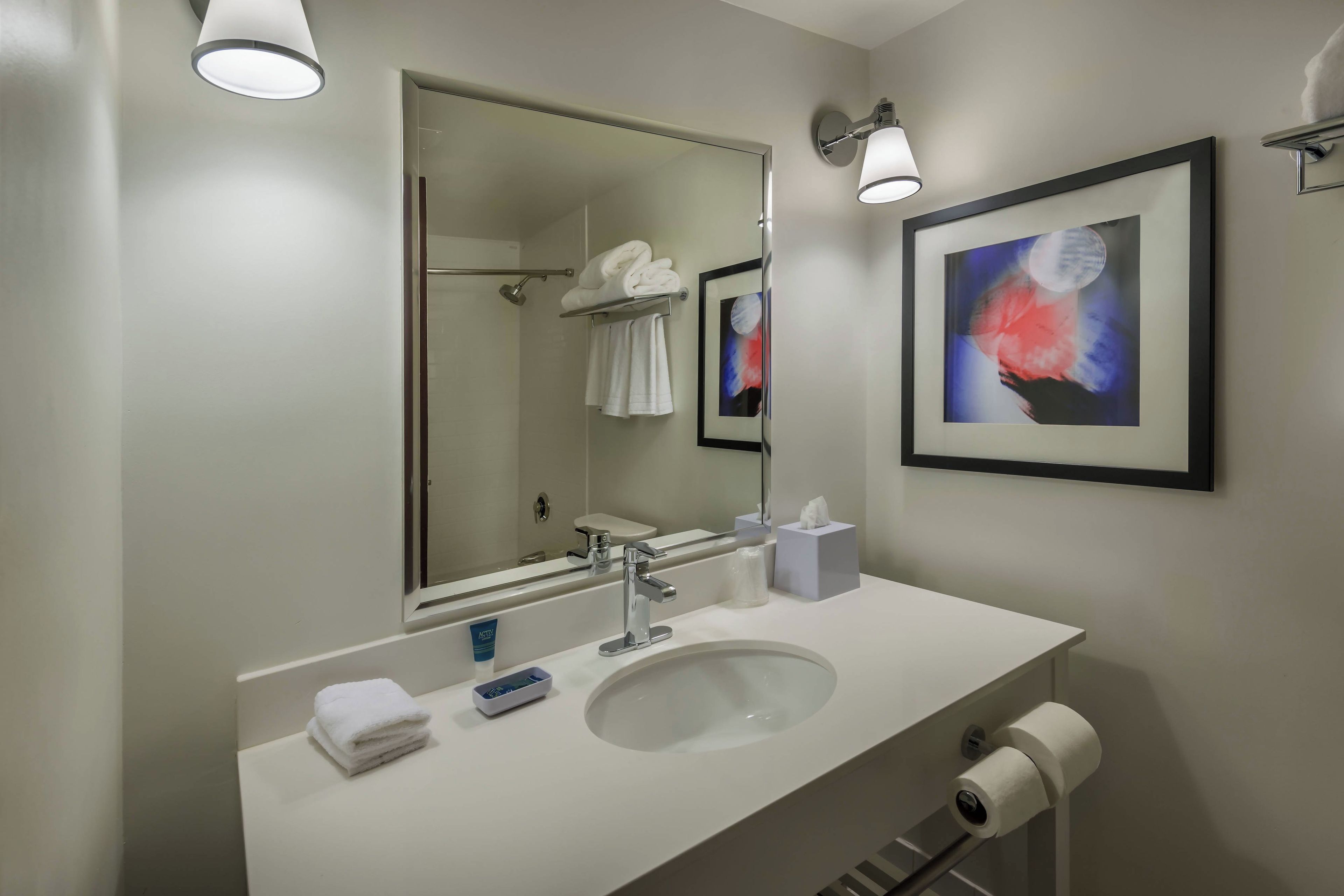 A modern bathroom with a large mirror, a white sink, a towel rack, a framed artwork, and a toilet paper holder.