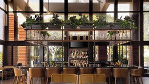 A modern bar area with wicker chairs, a bar counter stocked with bottles, and potted plants. - Hotel Fera Anaheim, a DoubleTree by Hilton (Orange)