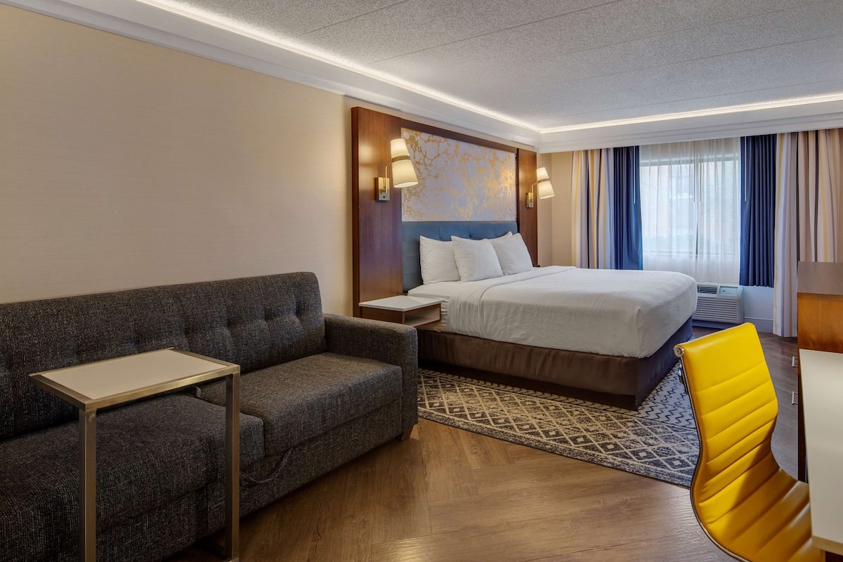 A hotel room with a bed, a sofa, a desk, a chair, and a TV.