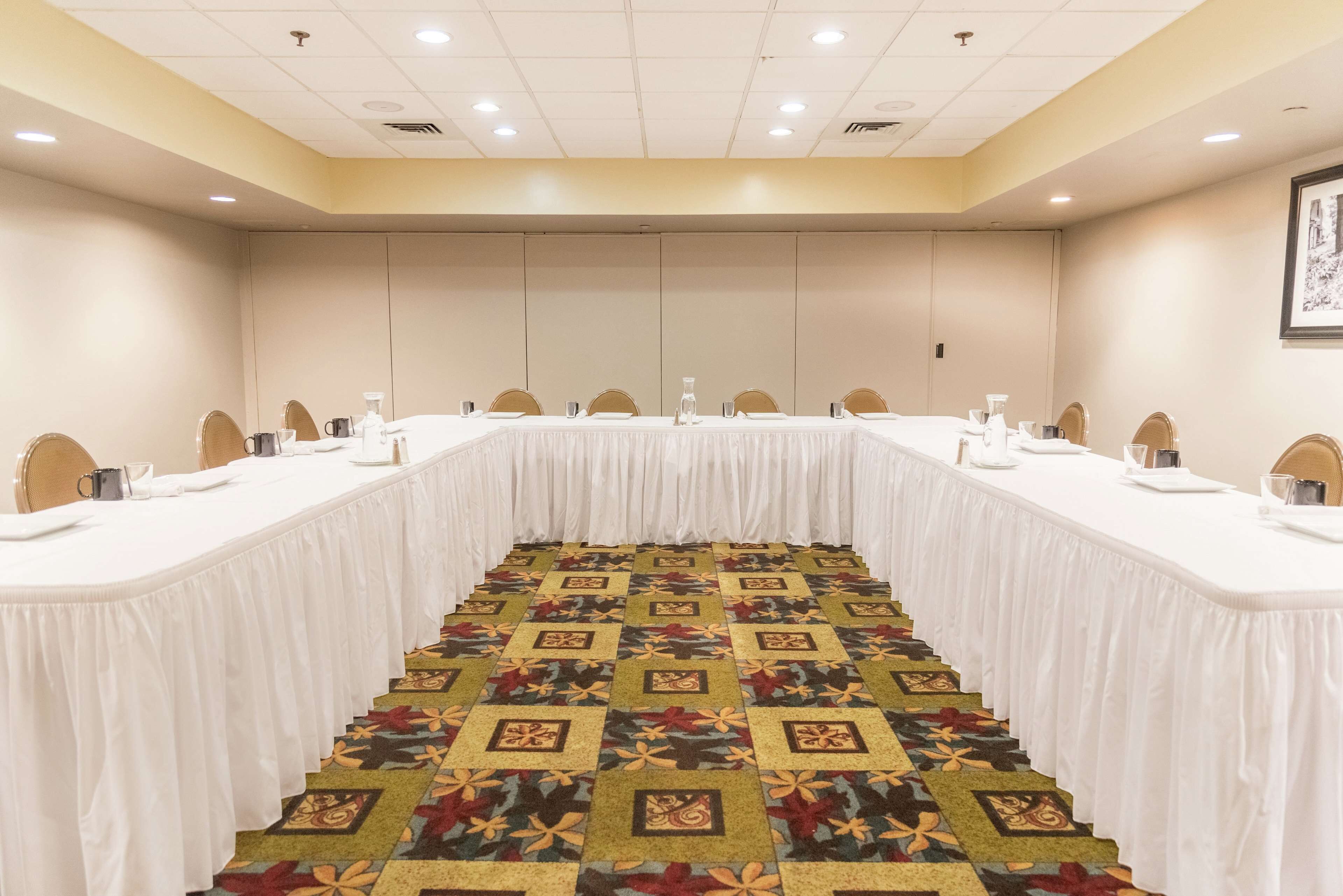 A conference room with a long table, chairs, and a patterned carpet.
