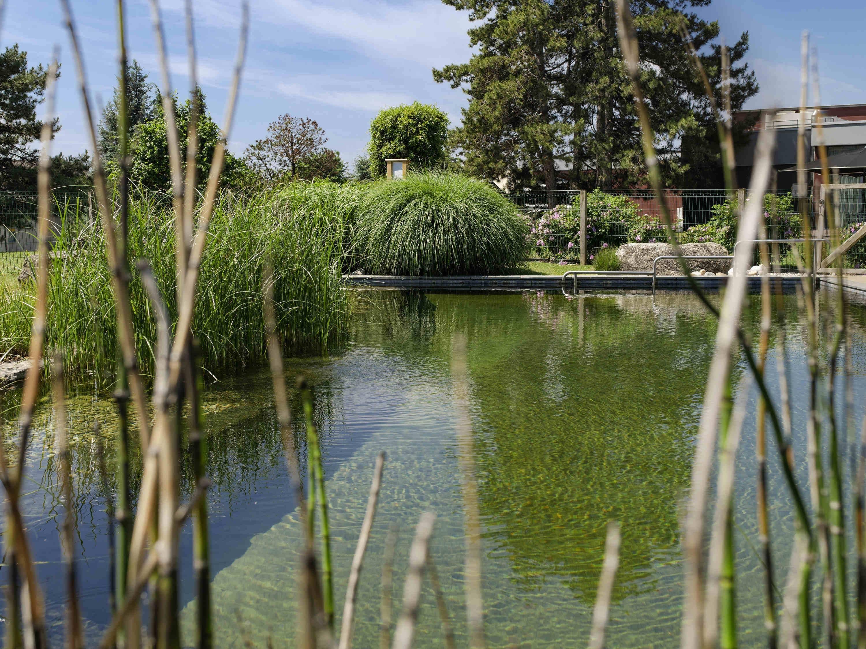 Un étang paisible, bordé d’une végétation luxuriante, et surmonté d’un petit pont.