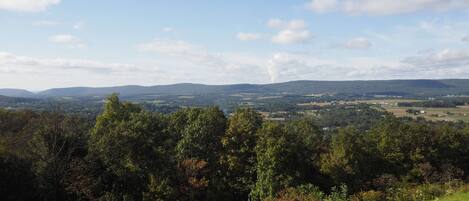 A panoramic view of a hilly landscape with dense forest in the foreground and distant hills under a clear sky.