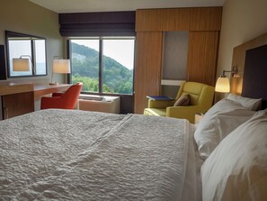 Cortinas blackout, insonorización y tabla de planchar con plancha 