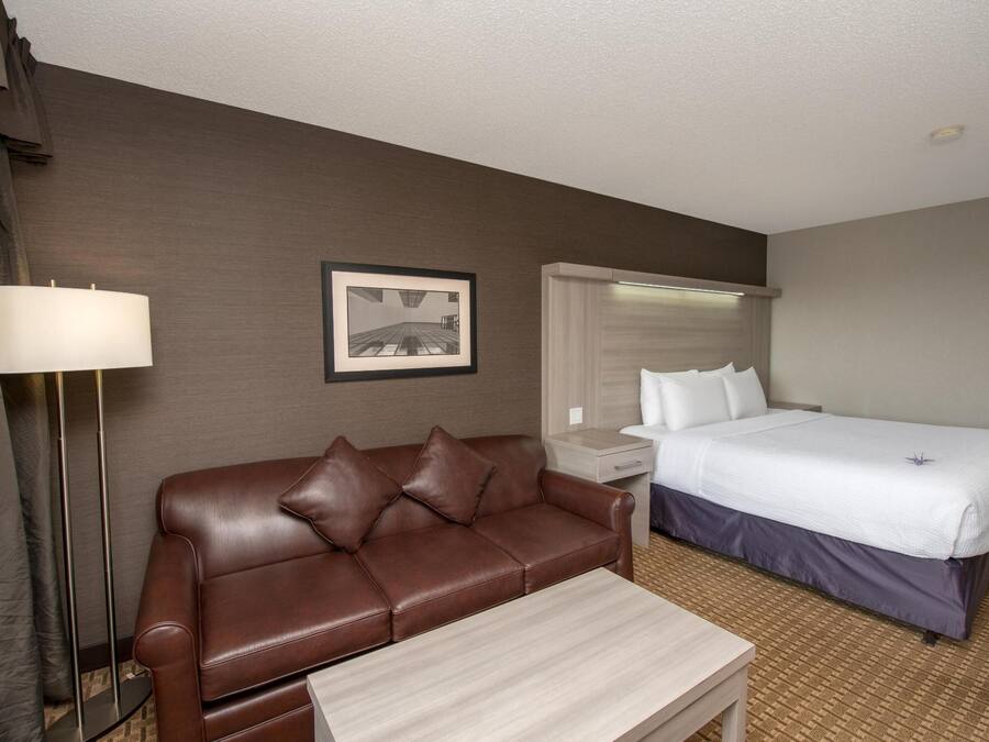 Habitación de hotel con un sofá de cuero marrón, una mesita, una cama con sábanas blancas, una mesita de noche, una lámpara y un cuadro en la pared.