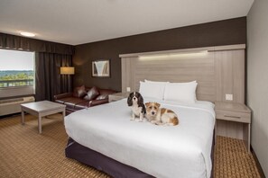 Chambre Prestige (Coast King) | Divers