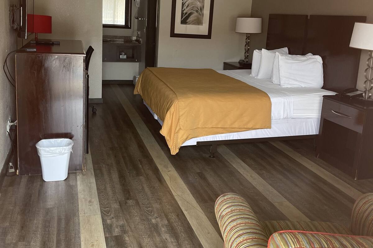 A hotel room with a bed, bedside table, lamp, chair, and a trash bin.