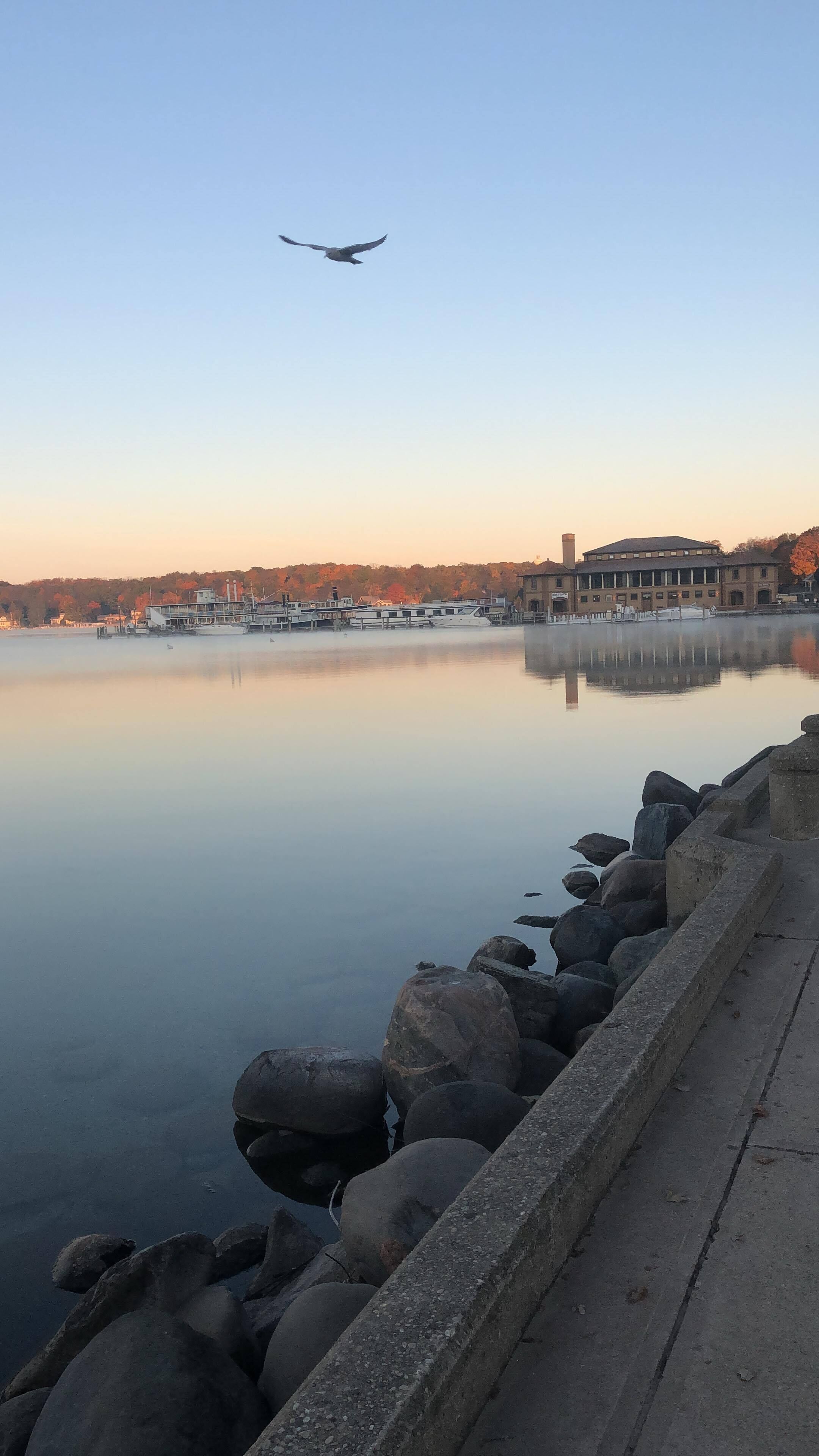 A calm waterfront with a row of large rocks and a building in the background.