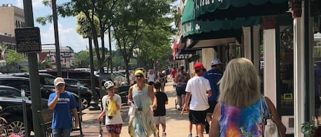 Un paseo peatonal bordeado de comercios y árboles.