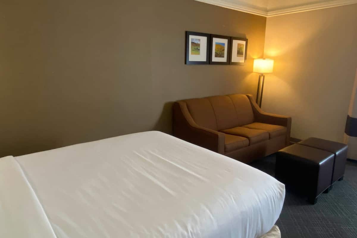 Standard Room, 1 Queen Bed with Sofa bed, Non Smoking | Desk, laptop workspace, blackout curtains, iron/ironing board