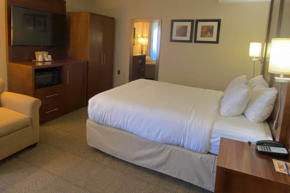 Room, 1 Queen Bed, Accessible, Non Smoking | Desk, laptop workspace, blackout curtains, iron/ironing board