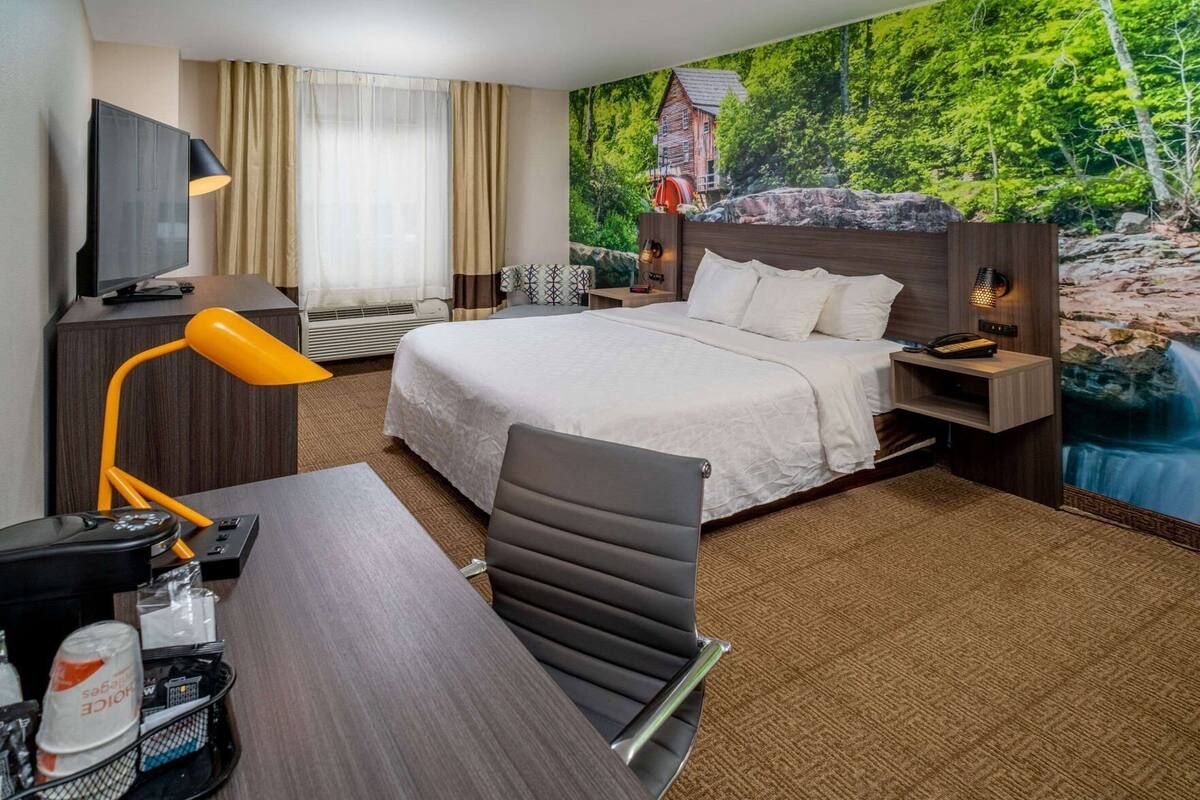 A hotel room with a bed, desk, chair, lamp, and a mural of a forest scene.