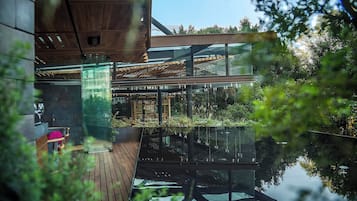 A modern building with a glass facade, wooden deck, and a water feature in front.