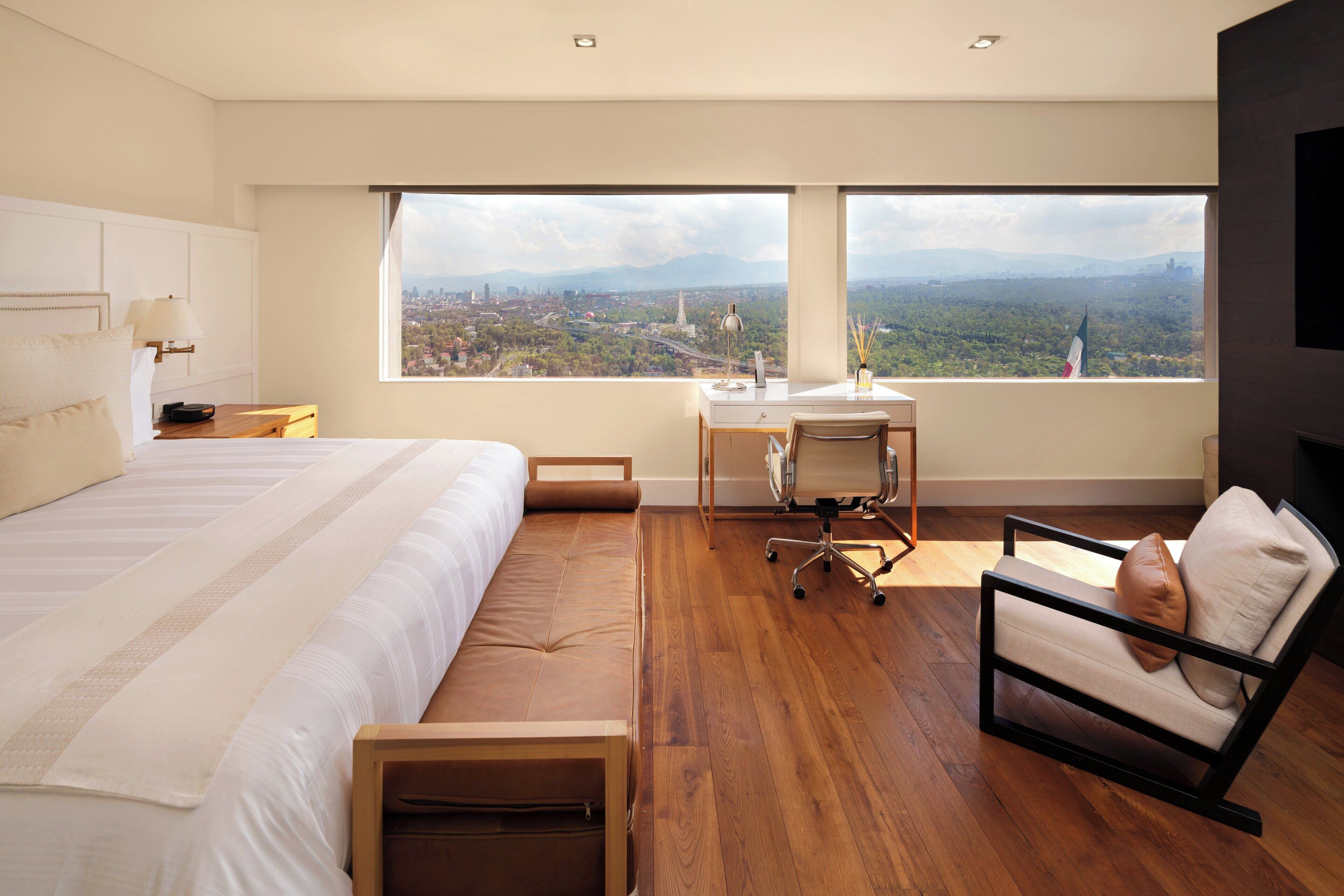 Suite, 1 cama King size (Primary)