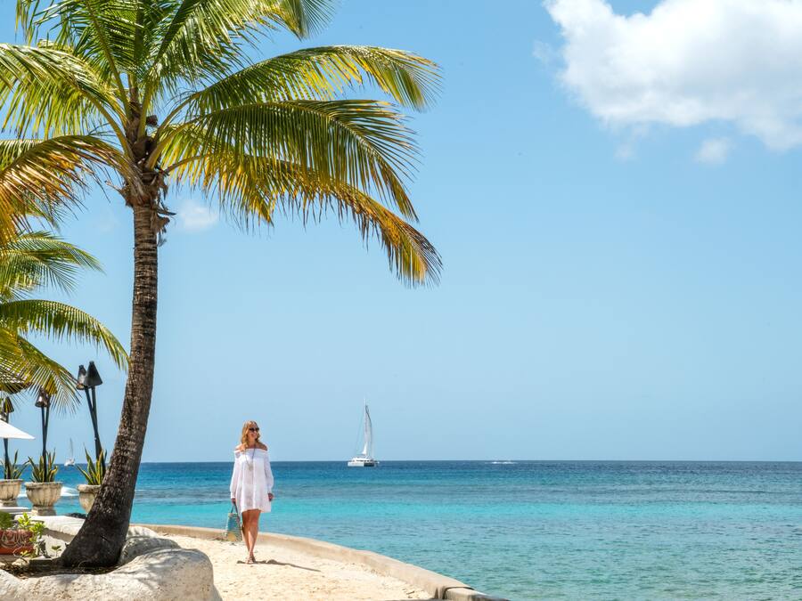 Escena de playa con una palmera, una persona con vestido blanco y un velero a lo lejos.