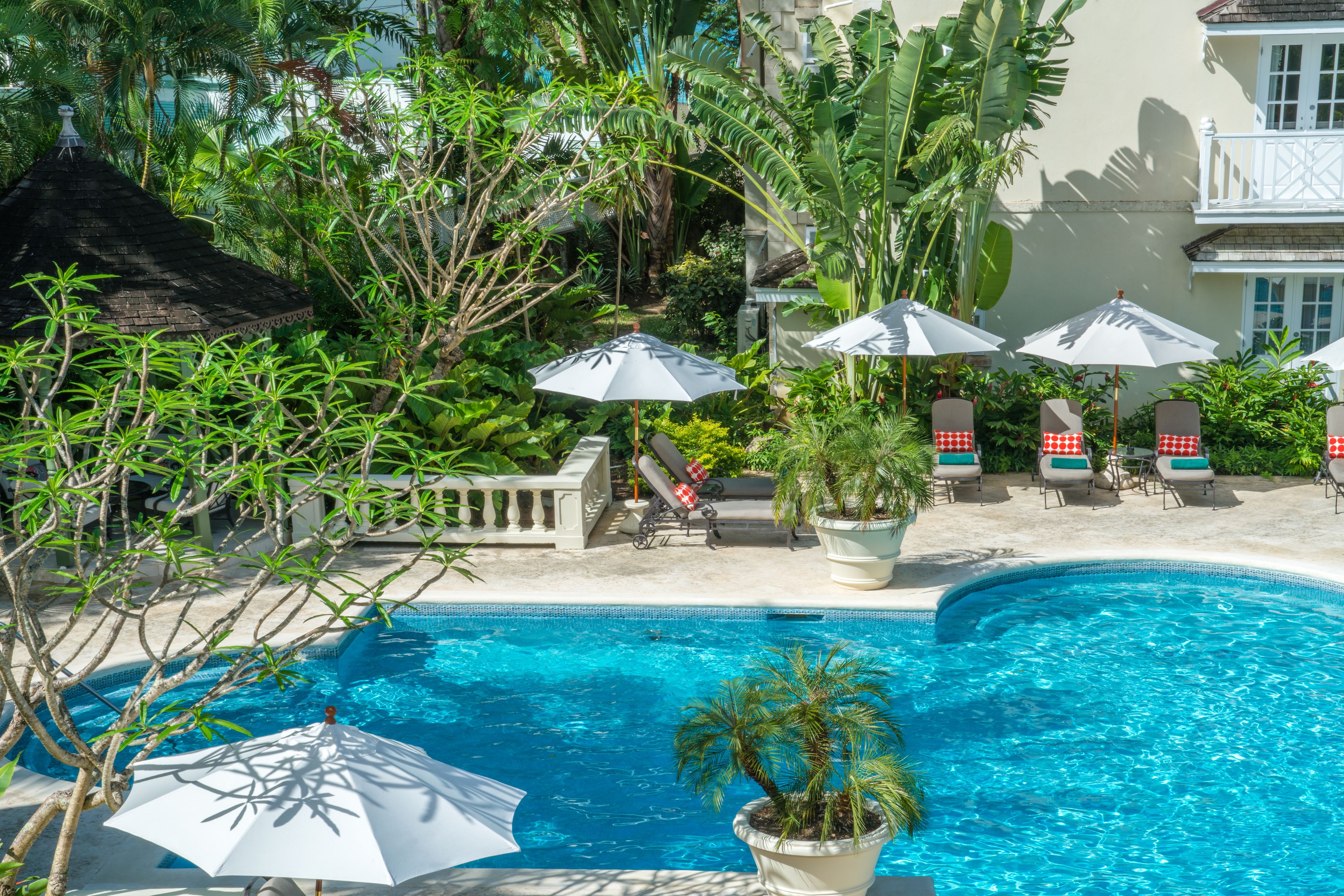 Una piscina rodeada de exuberante vegetación y sombrillas blancas.