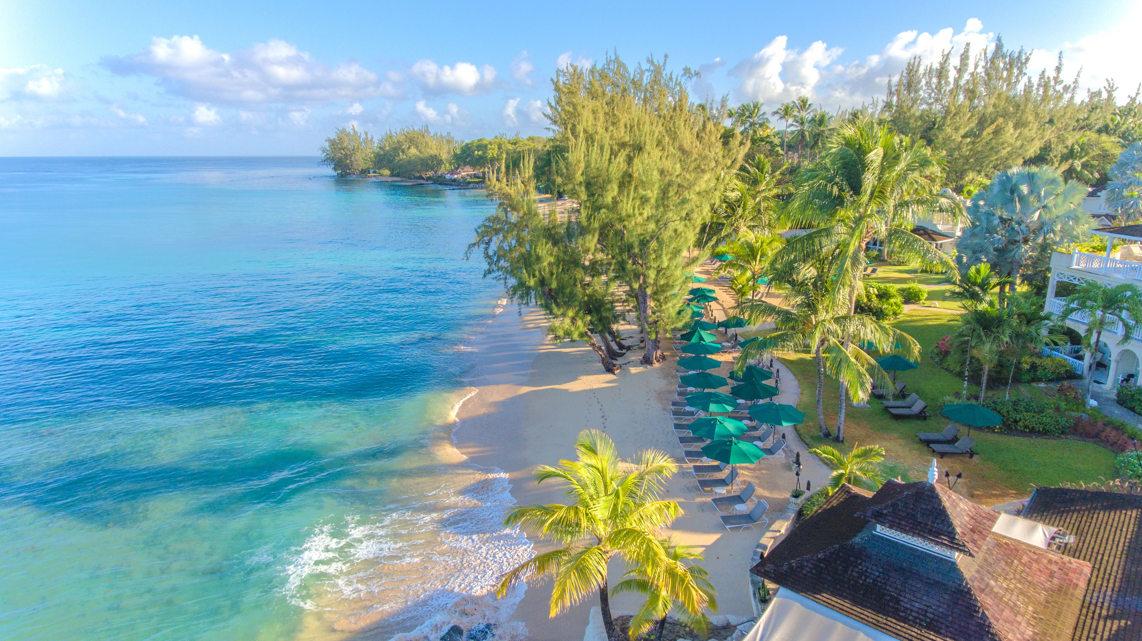A beach resort with a clear view of the ocean, rows of palm trees, and sun loungers.