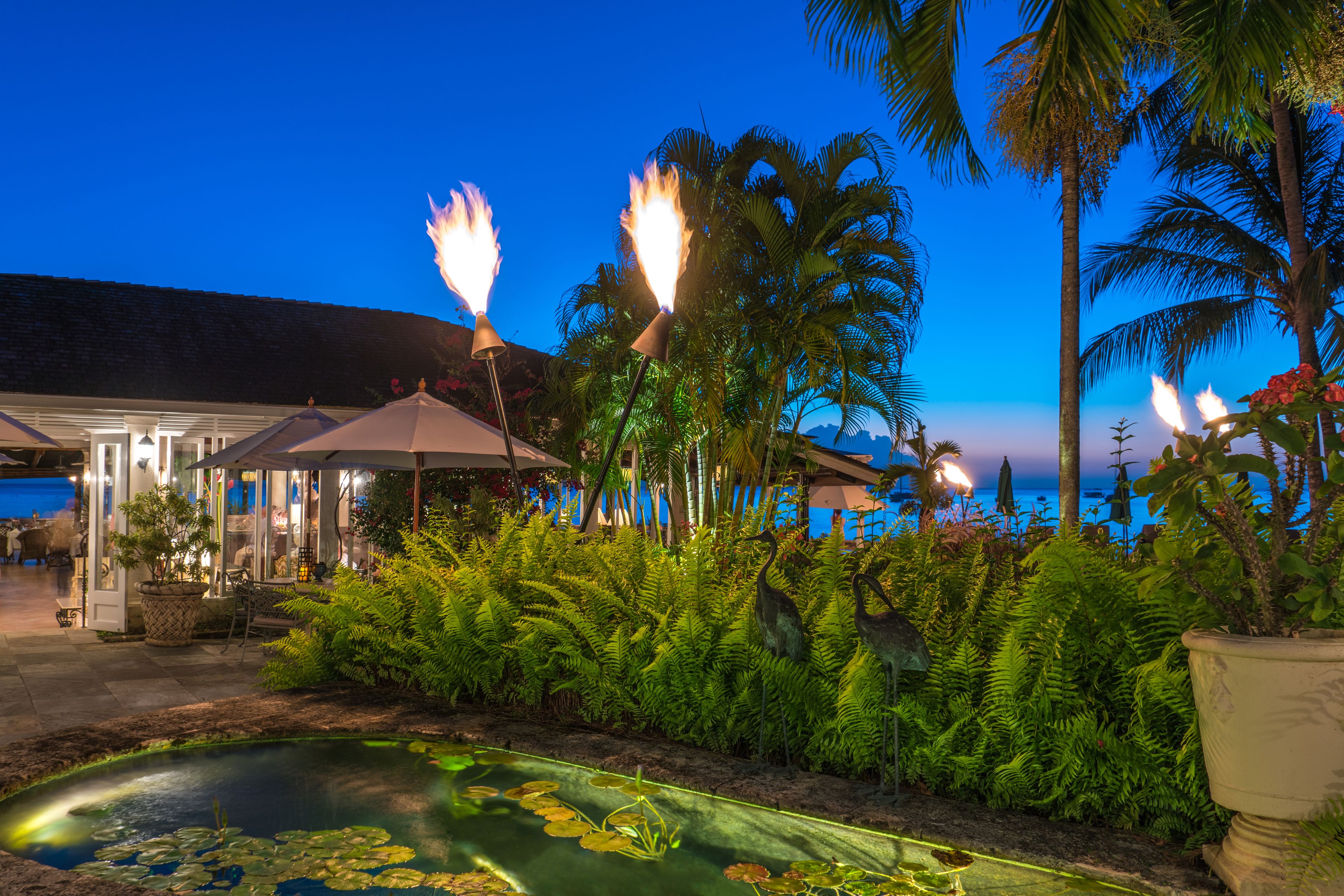 Un complexe hôtelier tropical doté d’une piscine, de palmiers et d’un kiosque.