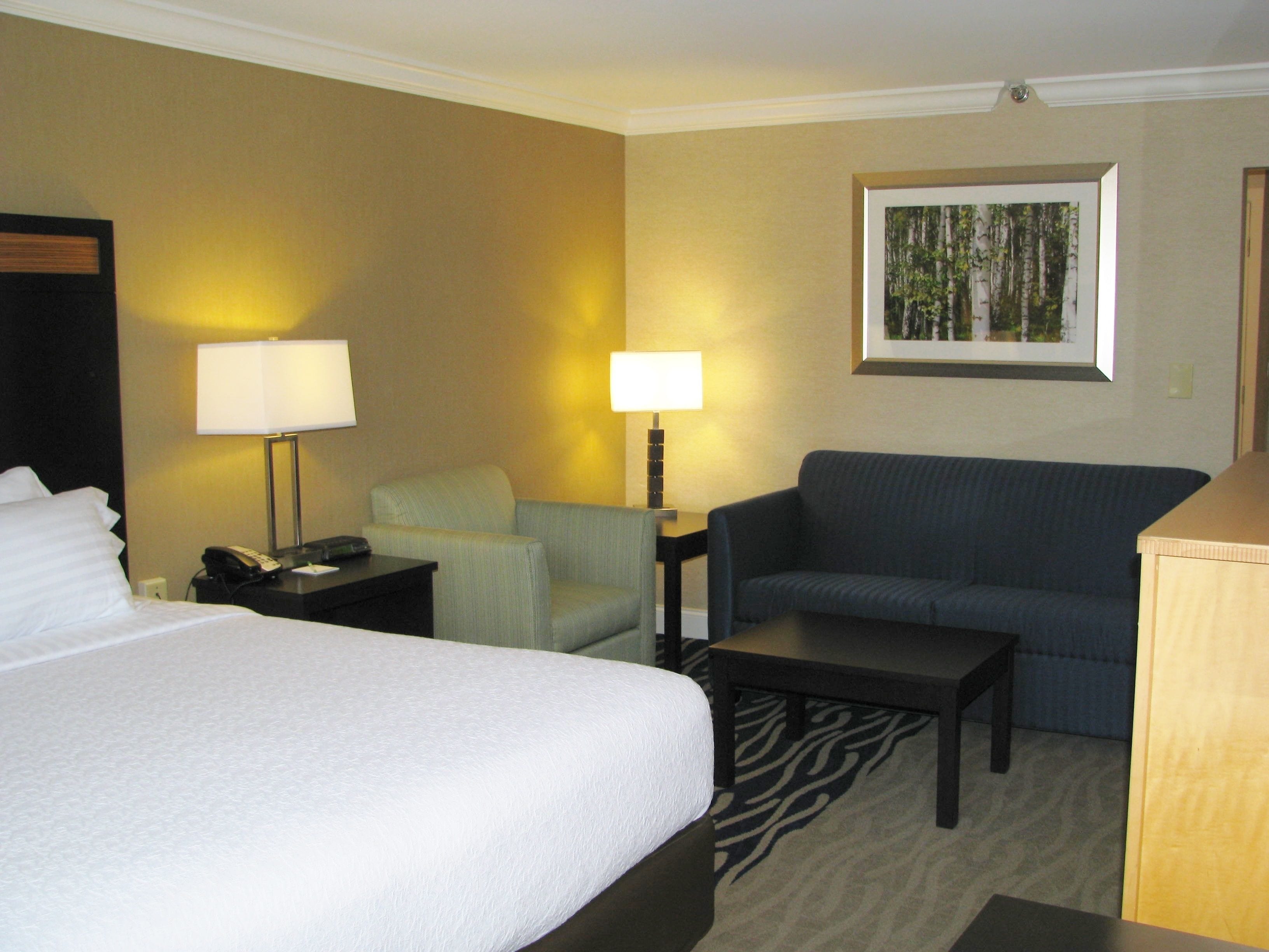 standard room, 1 king bed with sofa bed | down duvets, pillow-top beds, desk, laptop workspace