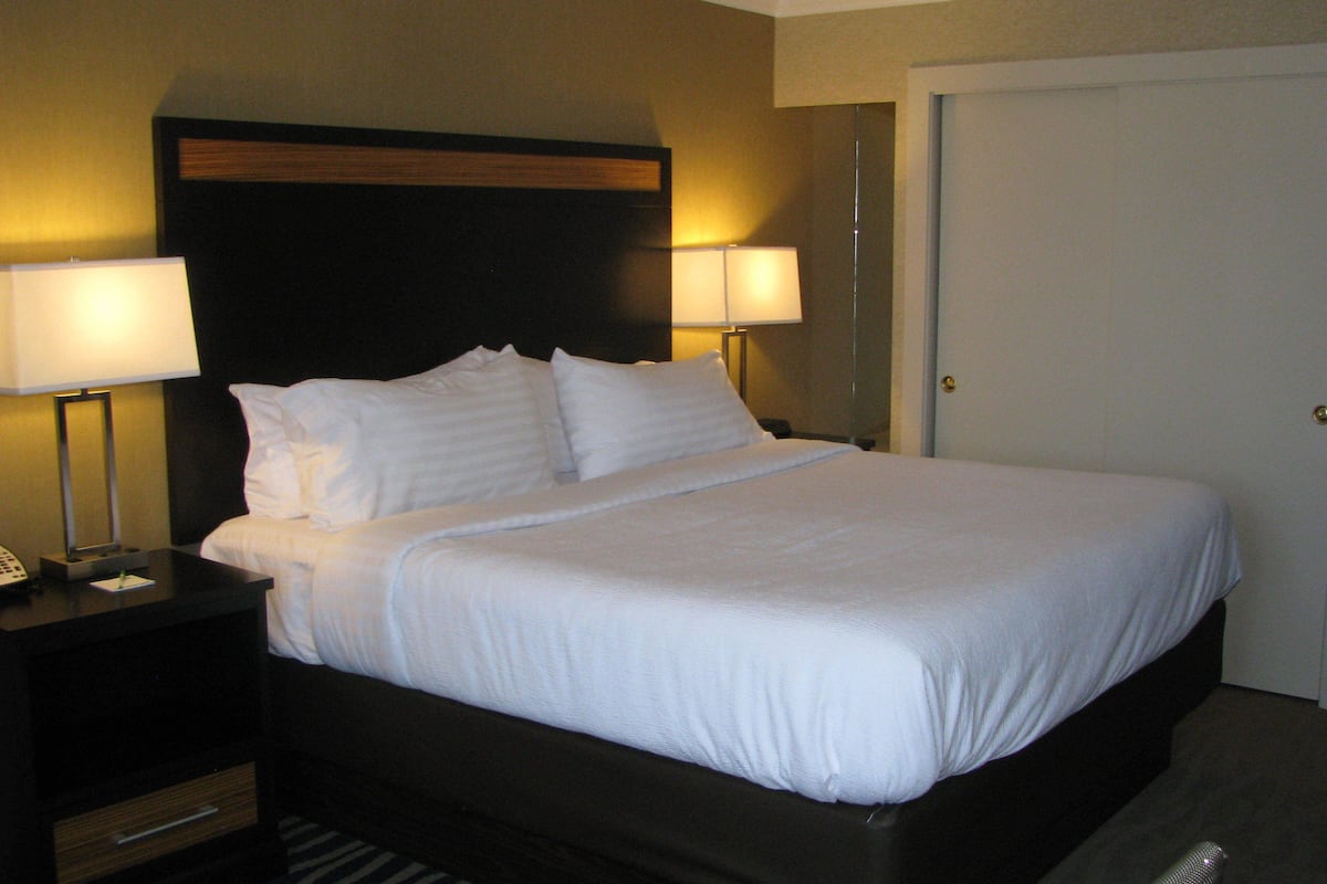 suite, 1 king bed | down duvets, pillow-top beds, desk, laptop workspace