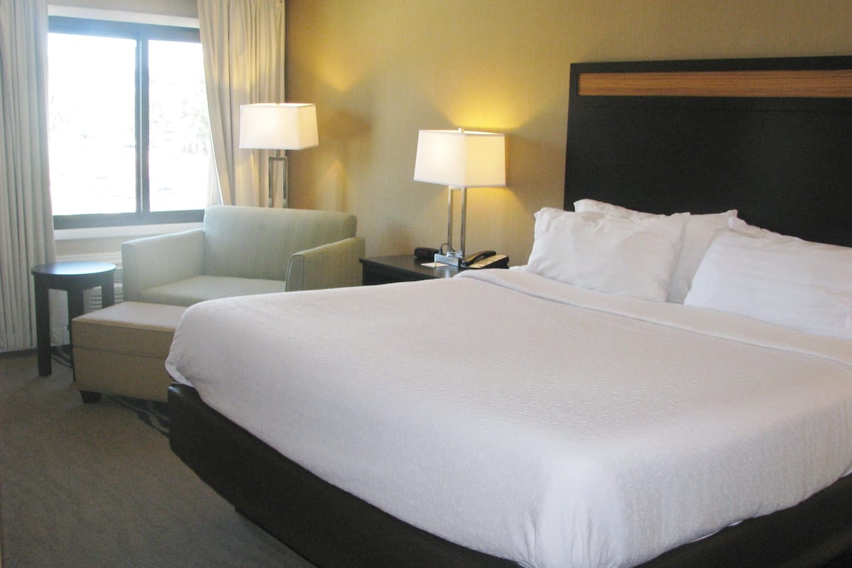 standard room, 1 king bed | down duvets, pillow-top beds, desk, laptop workspace