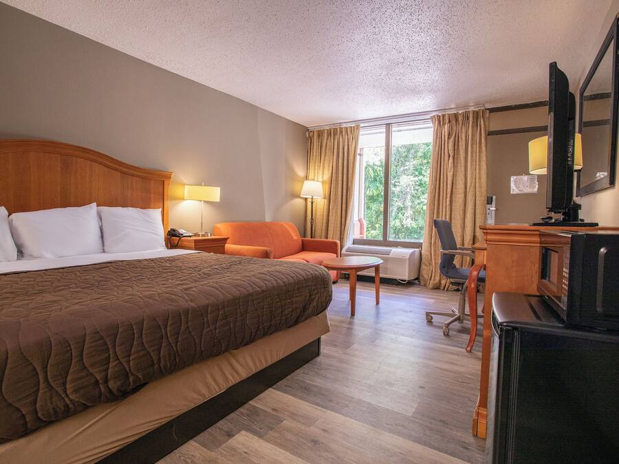 Room, 1 King Bed, Smoking | Desk, iron/ironing board, free WiFi, bed sheets