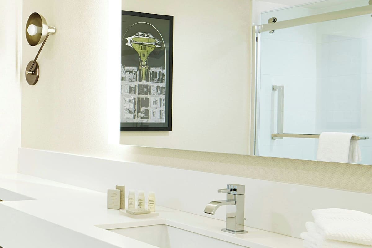 combined shower/bathtub, free toiletries, hair dryer, towels