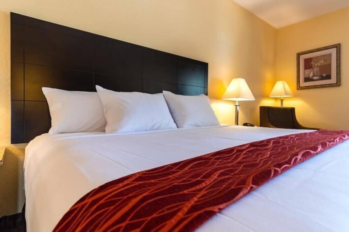 A hotel room with a large bed, two bedside lamps, a headboard, and a framed picture on the wall.