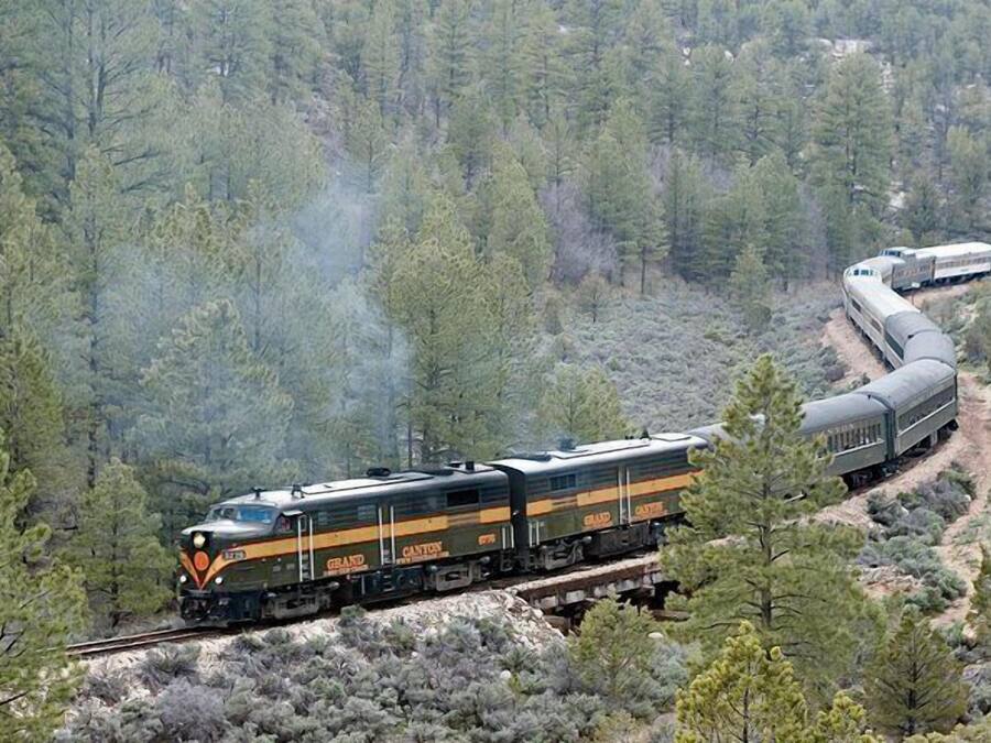A train traveling through a forested area.