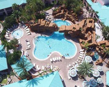 Outdoor pool, a heated pool, pool loungers