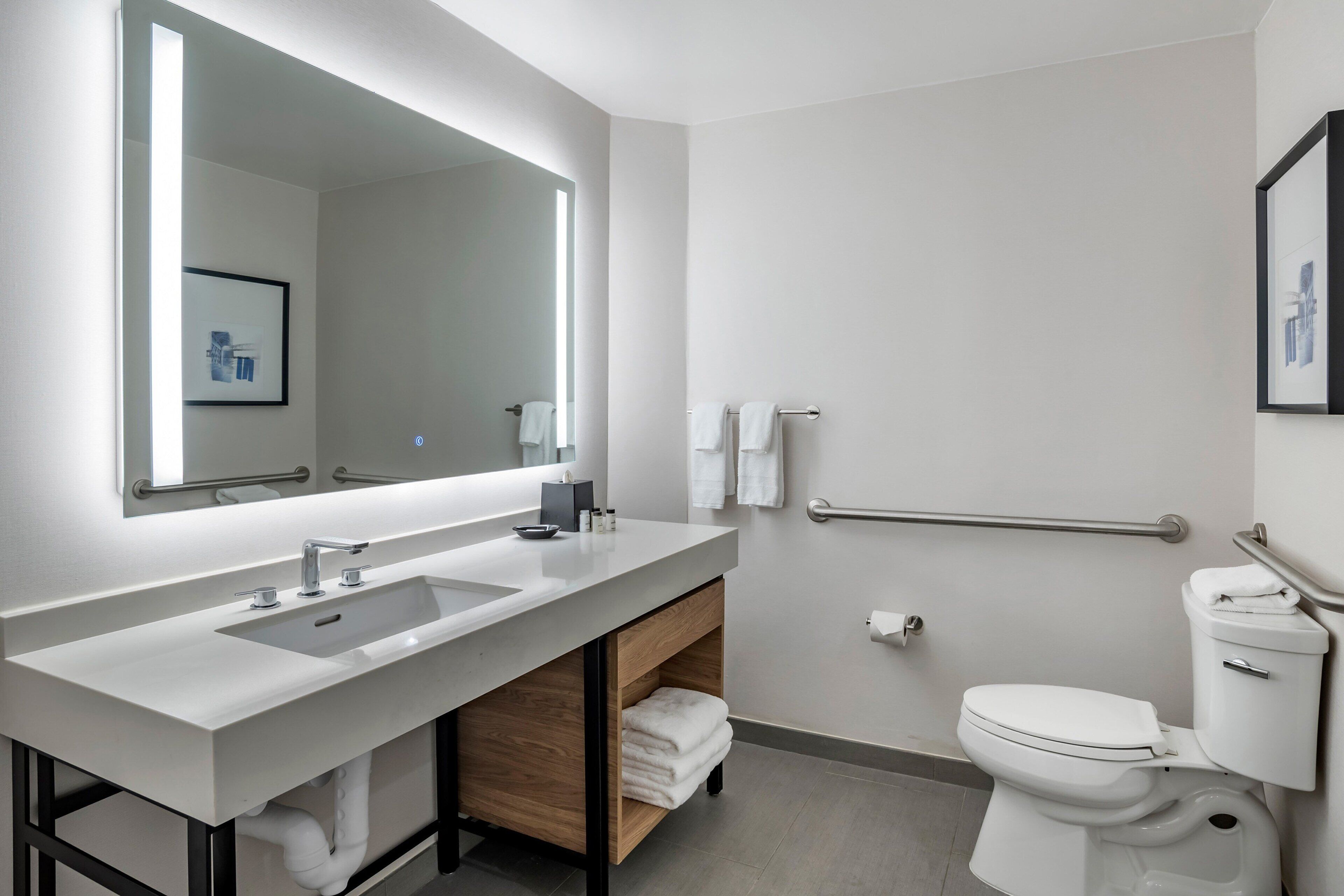 A modern bathroom with a double sink, a mirror, a toilet, and a handrail.