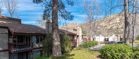 Un barrio residencial con casas, un árbol grande y una montaña al fondo.