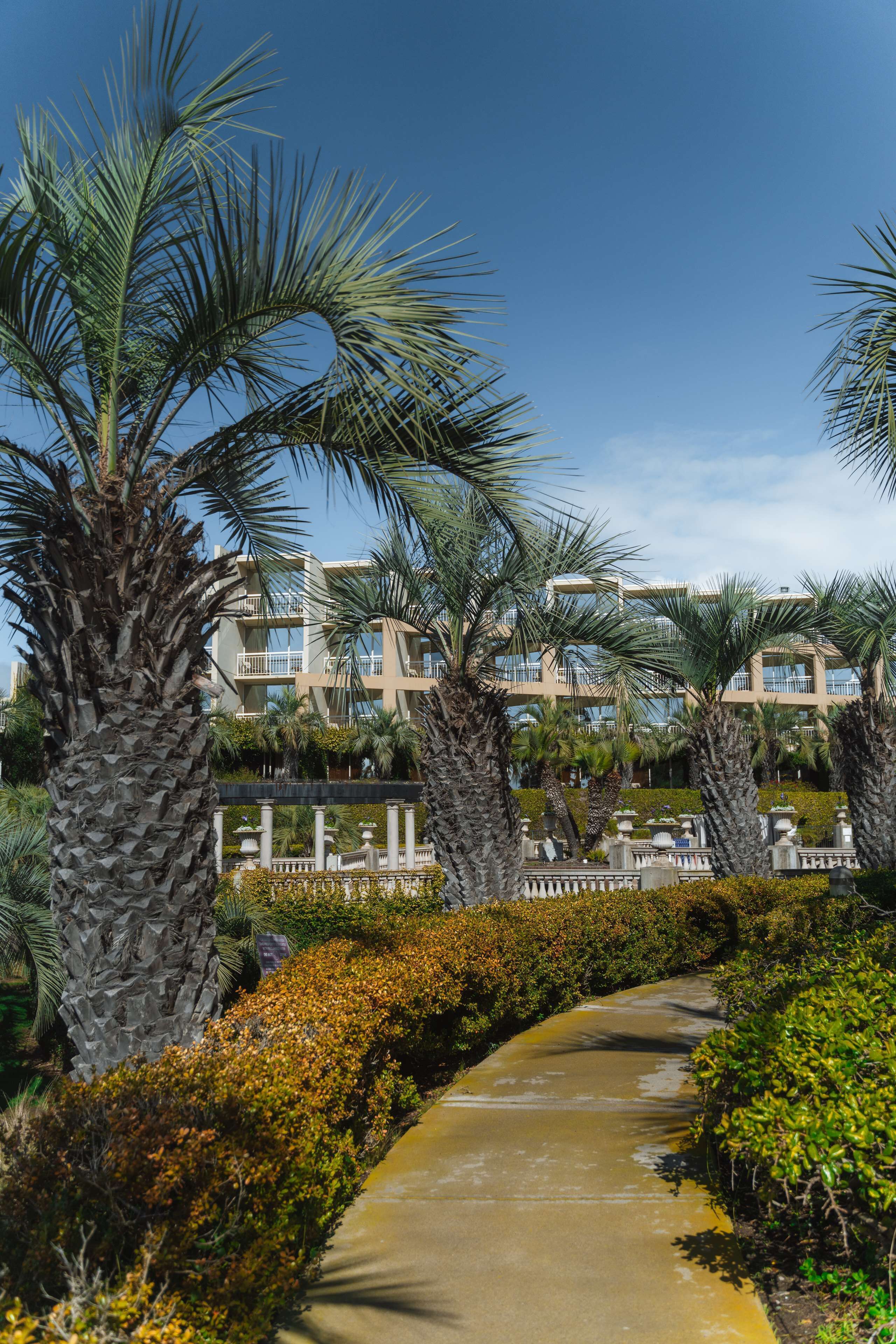 Foto - Hilton La Jolla Torrey Pines