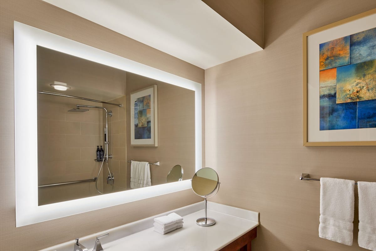 combined shower/bathtub, free toiletries, hair dryer, towels