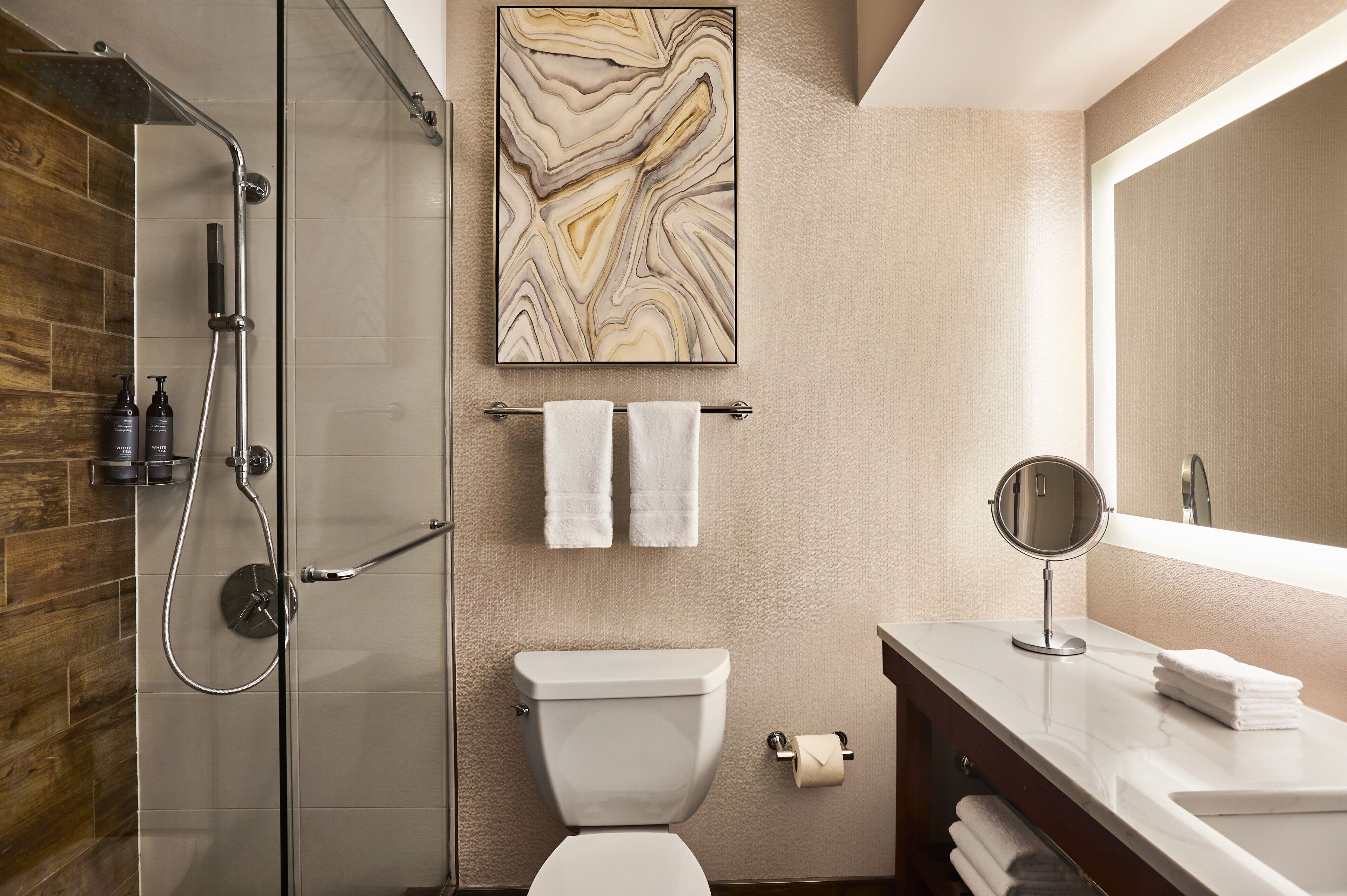 combined shower/bathtub, free toiletries, hair dryer, towels