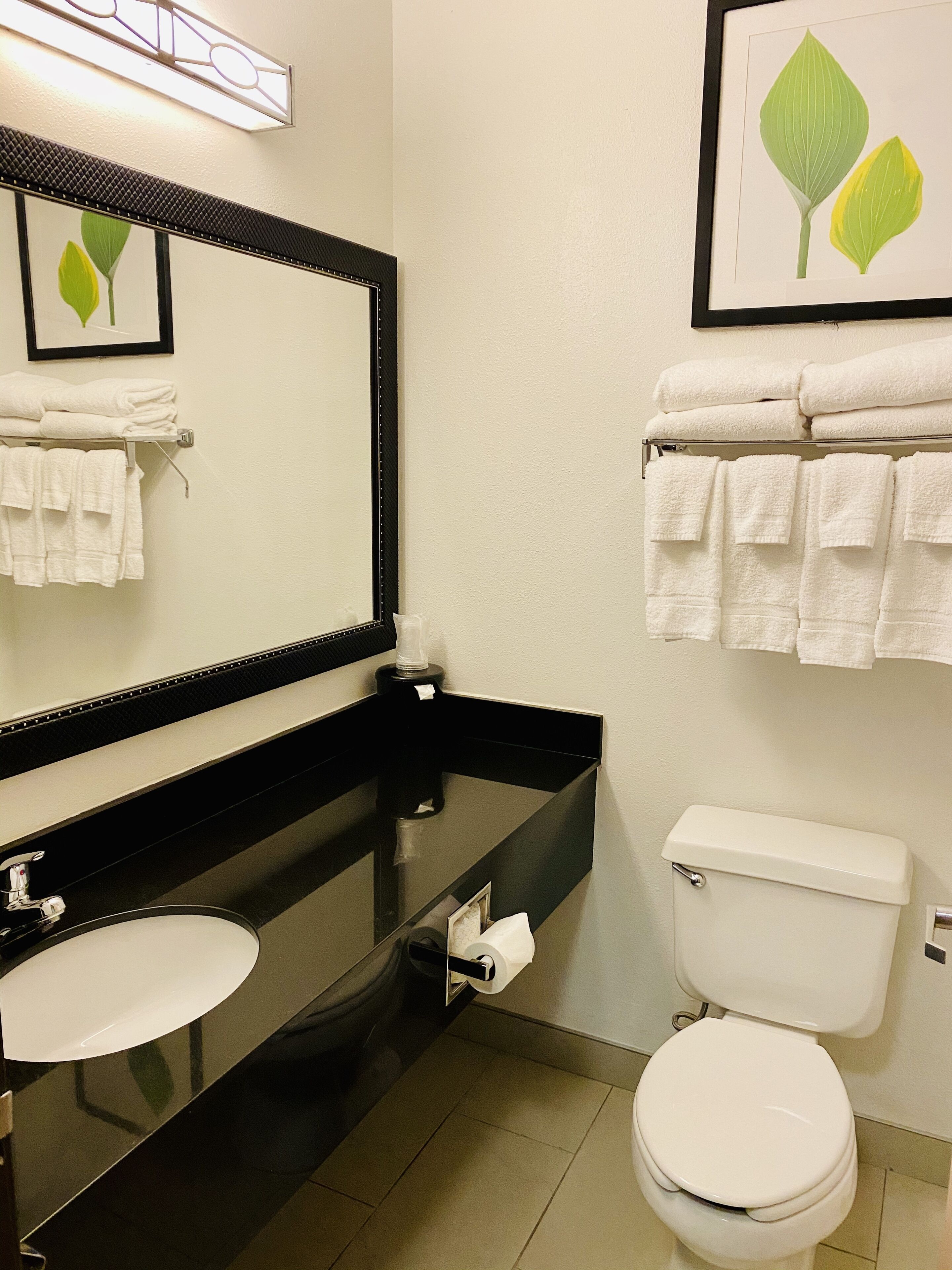 combined shower/bathtub, free toiletries, hair dryer, towels