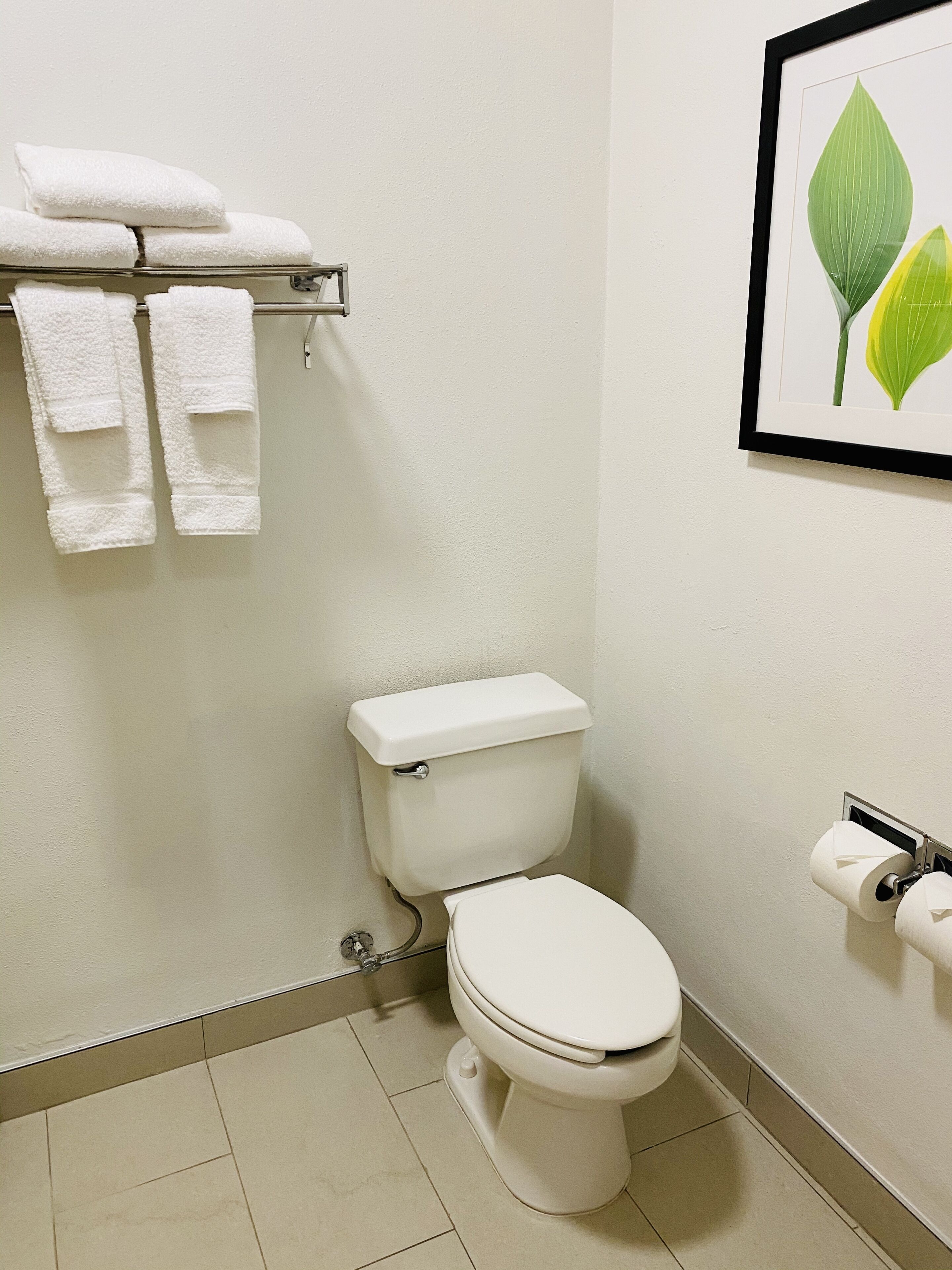 combined shower/bathtub, free toiletries, hair dryer, towels