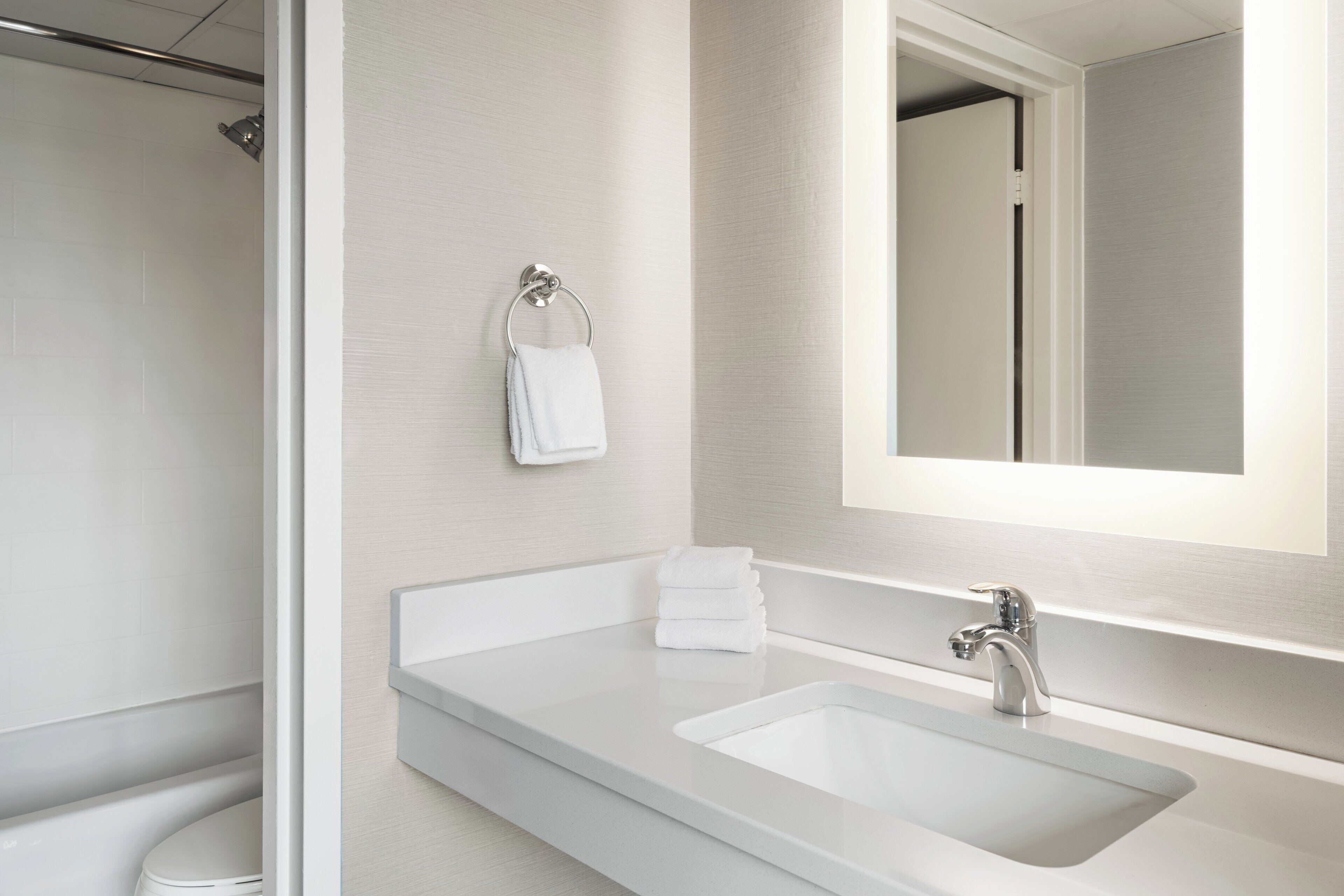 premium room, 1 king bed with sofa bed | bathroom | combined shower/bathtub, free toiletries, hair dryer, towels