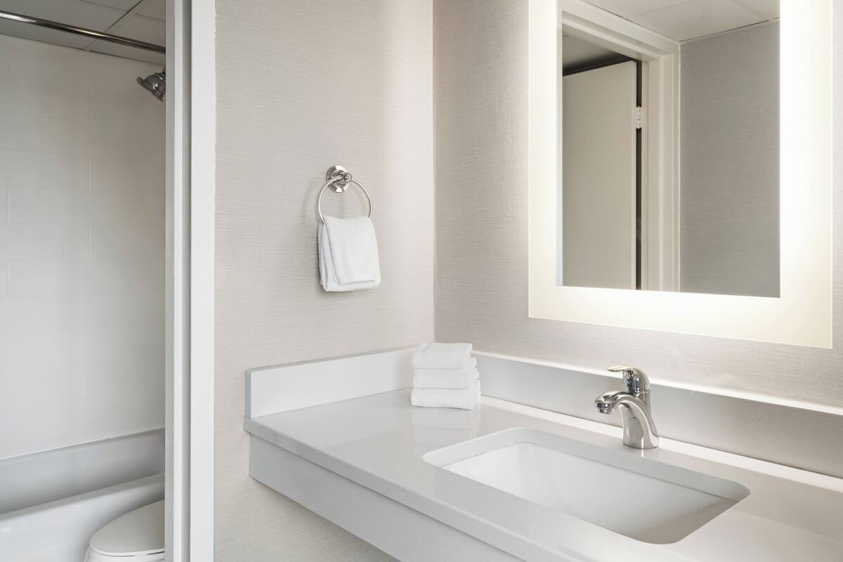 premium room, 1 king bed with sofa bed | bathroom | combined shower/bathtub, free toiletries, hair dryer, towels