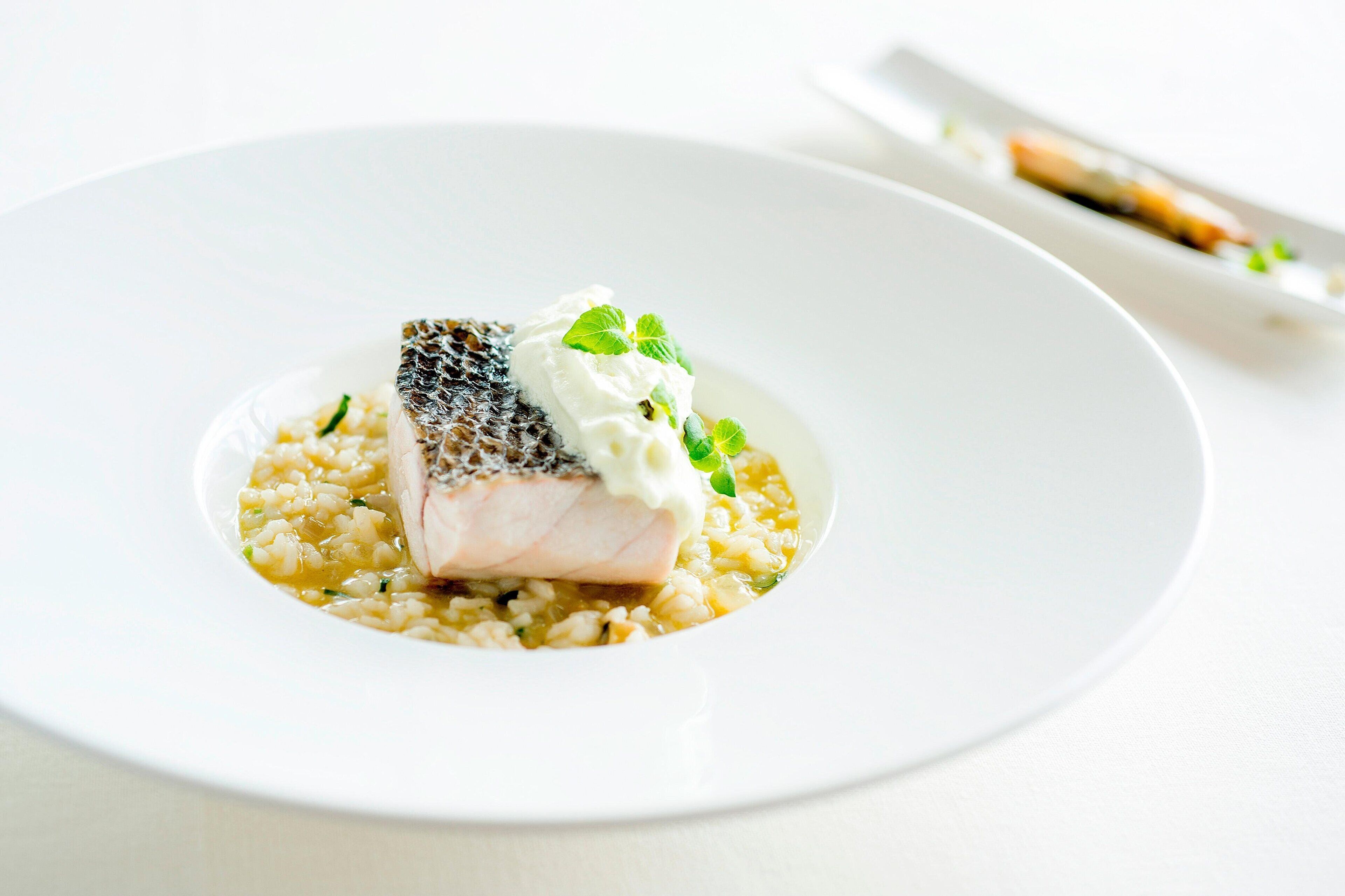A white plate with a piece of fish, a dollop of cream, and a garnish on top.
