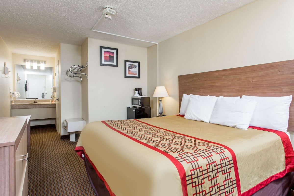 A hotel room with a bed, a desk, a mirror, and a TV.