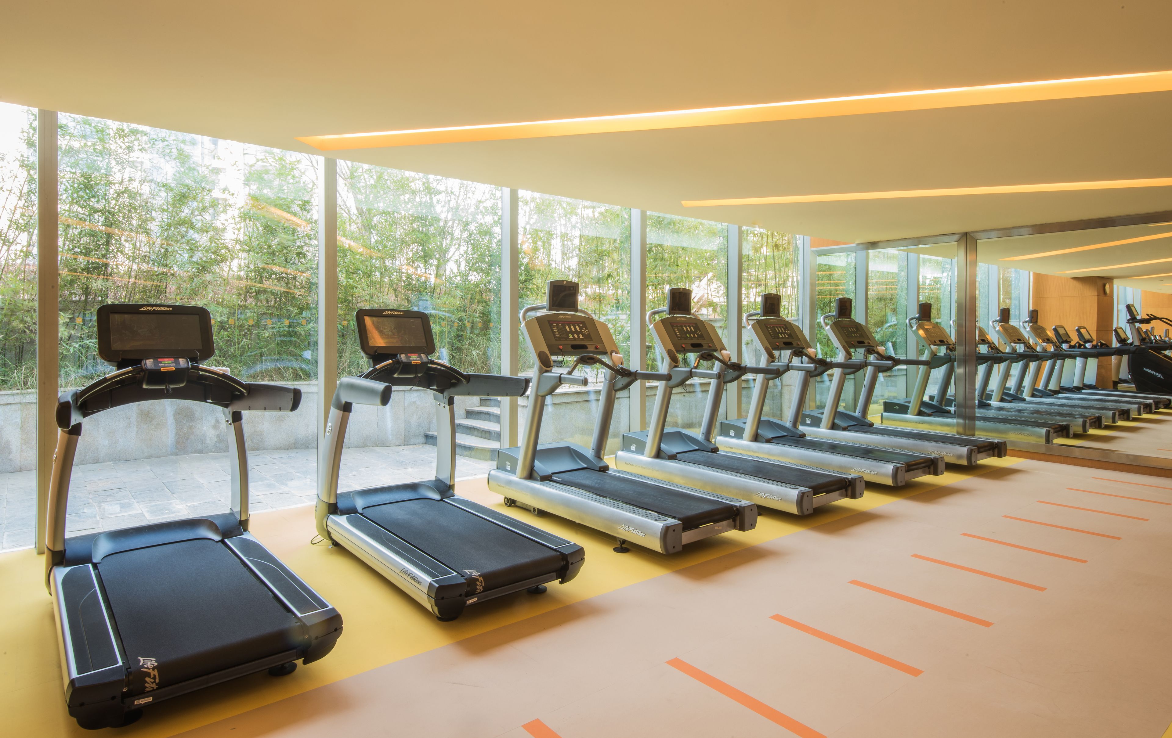 A row of treadmills in a gym with large windows and a yellow floor.