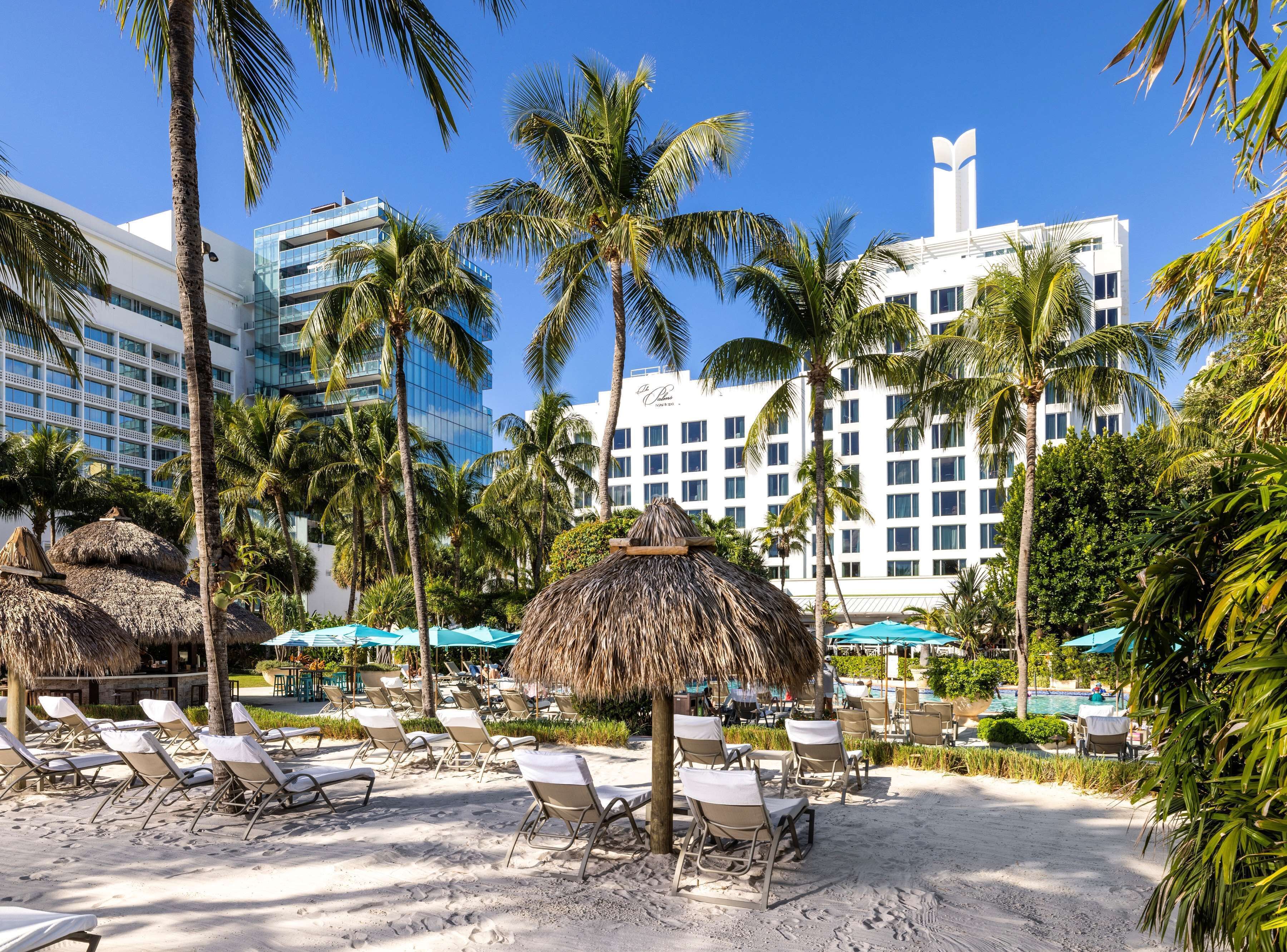 Un resort con sillas de descanso frente a la playa, palmeras y una zona de piscina.