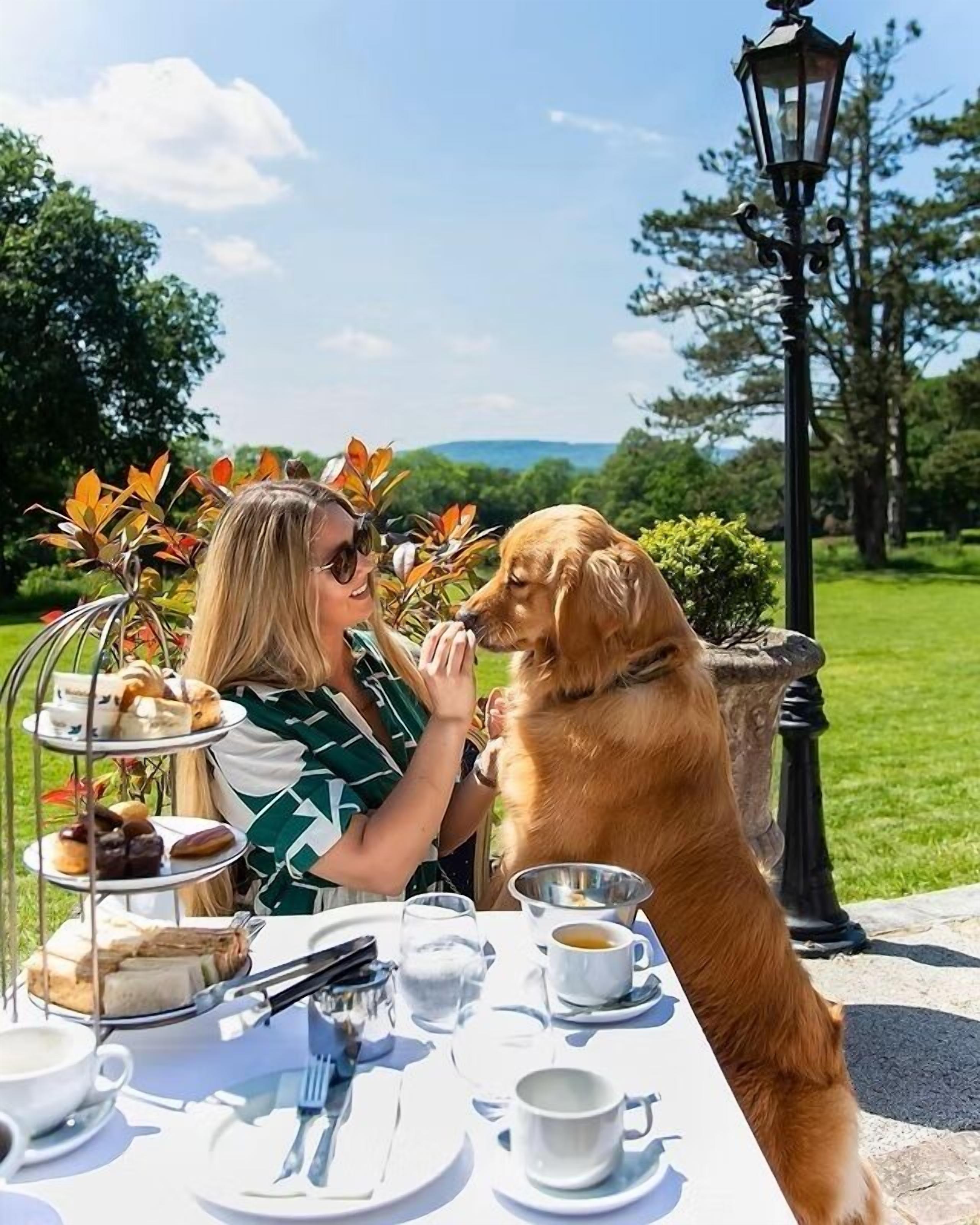 Foto - Stanhill Court Hotel, a member of Radisson Individuals