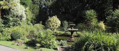 Un jardín con un estanque, patos y una fuente.