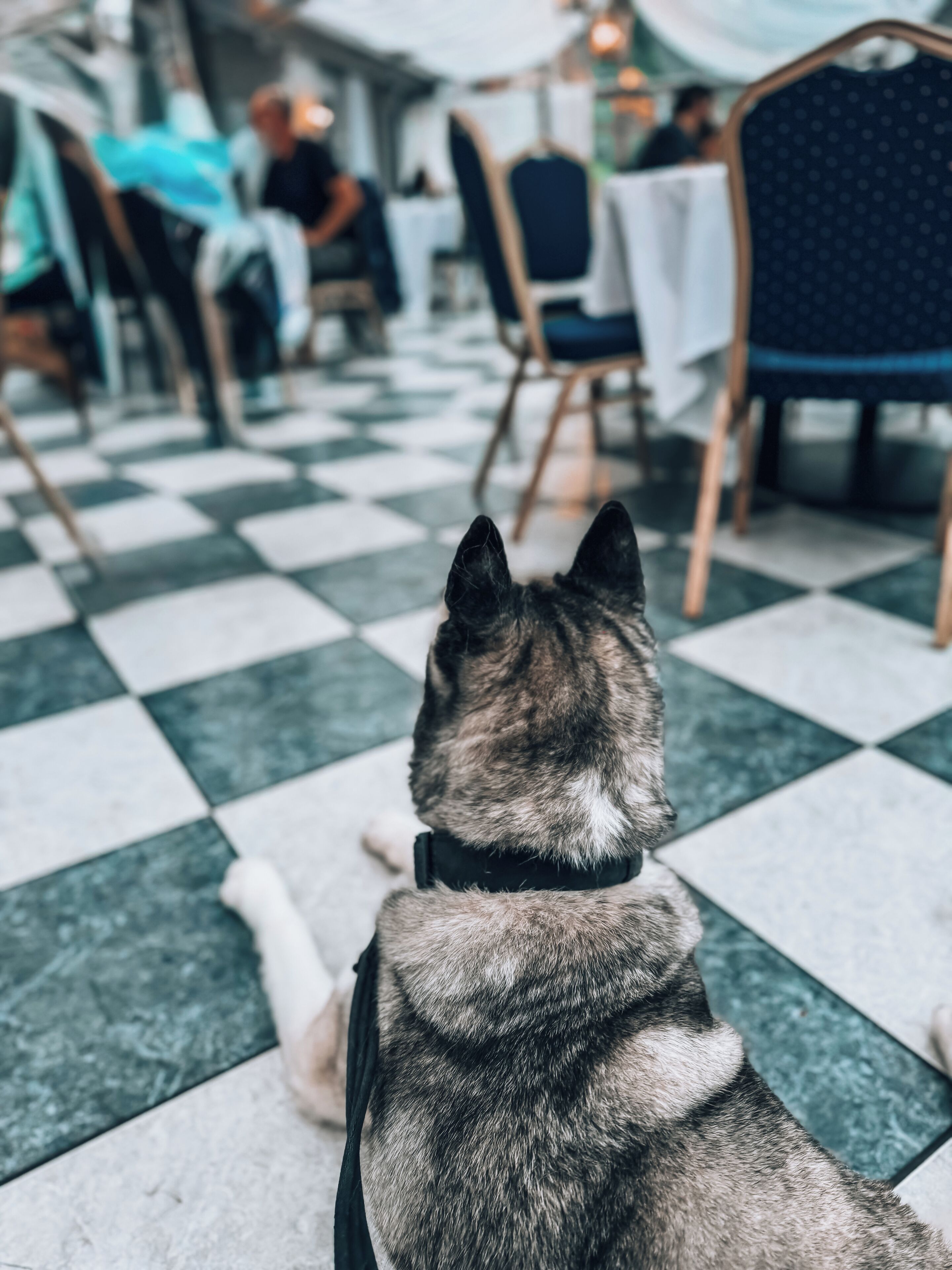 Foto - Stanhill Court Hotel, a member of Radisson Individuals