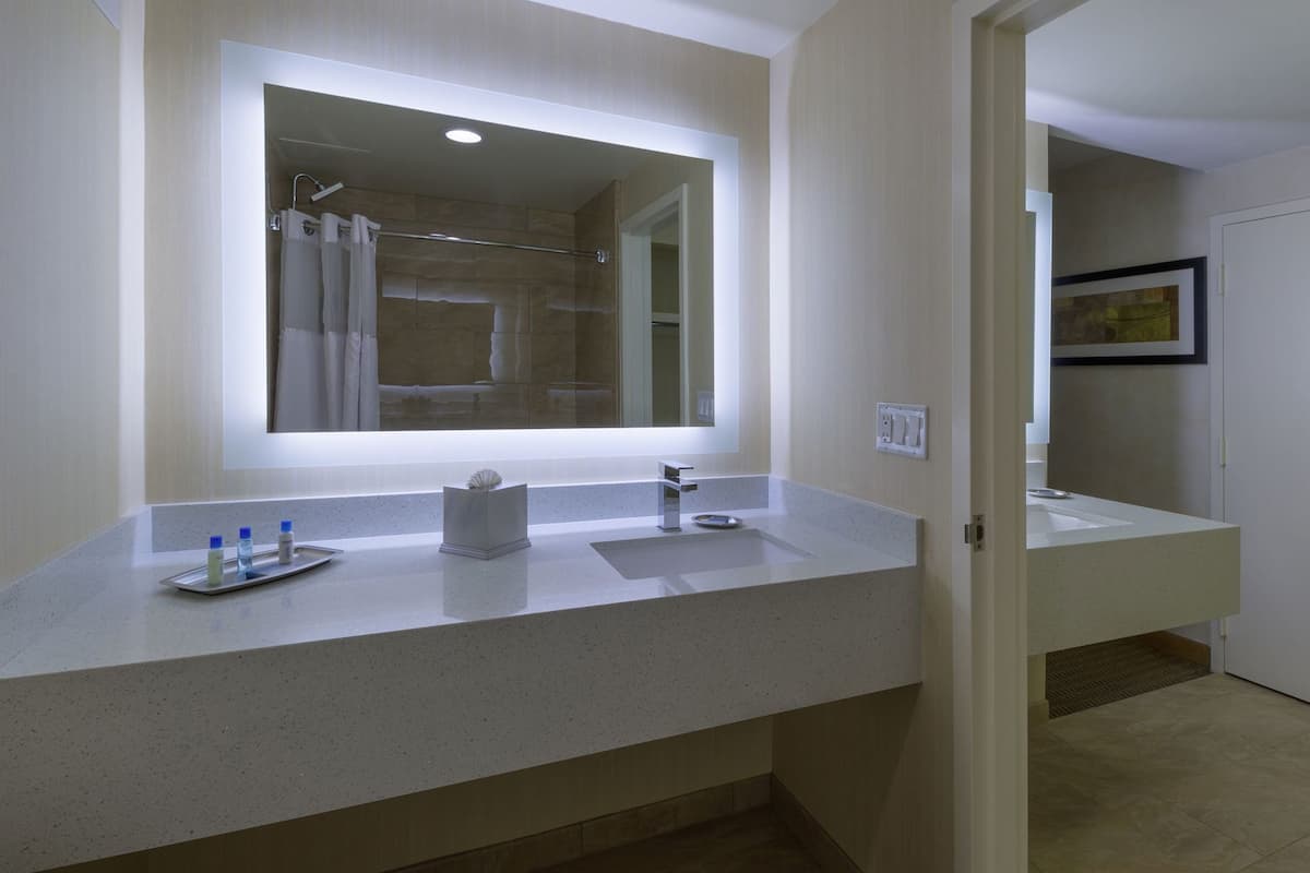 BaƱo | Tina con regadera, amenidades de baƱo gratuitas, secadora de cabello