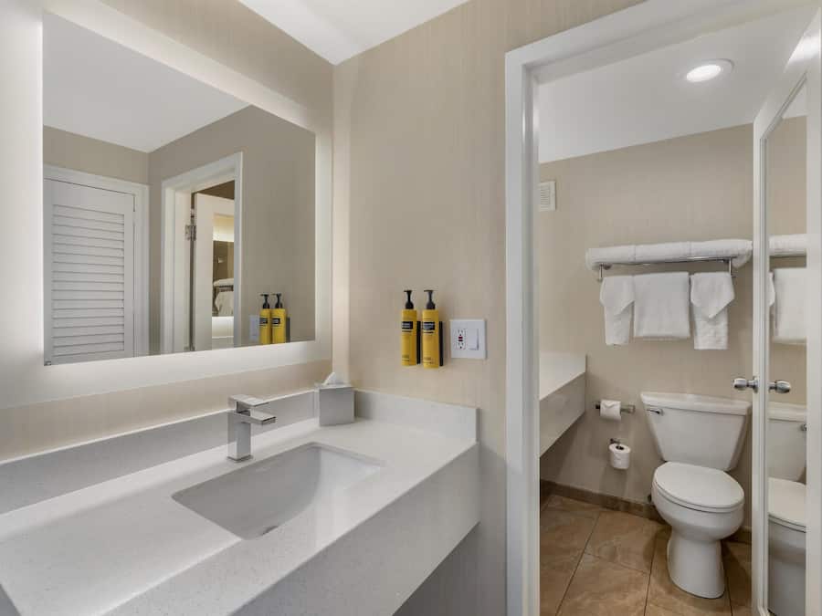Combined shower/bathtub, free toiletries, hair dryer, towels