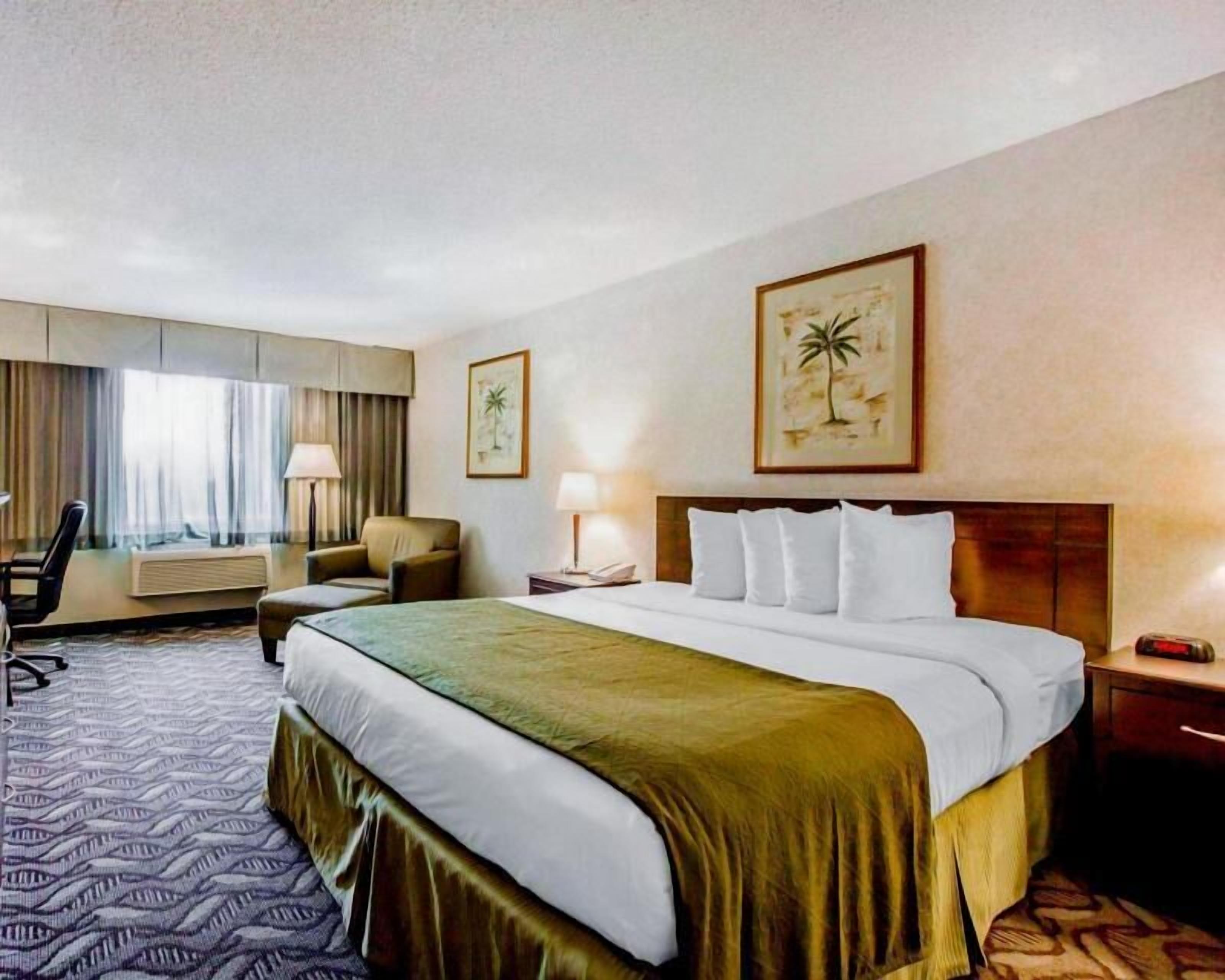 Premium bedding, desk, laptop workspace, blackout curtains