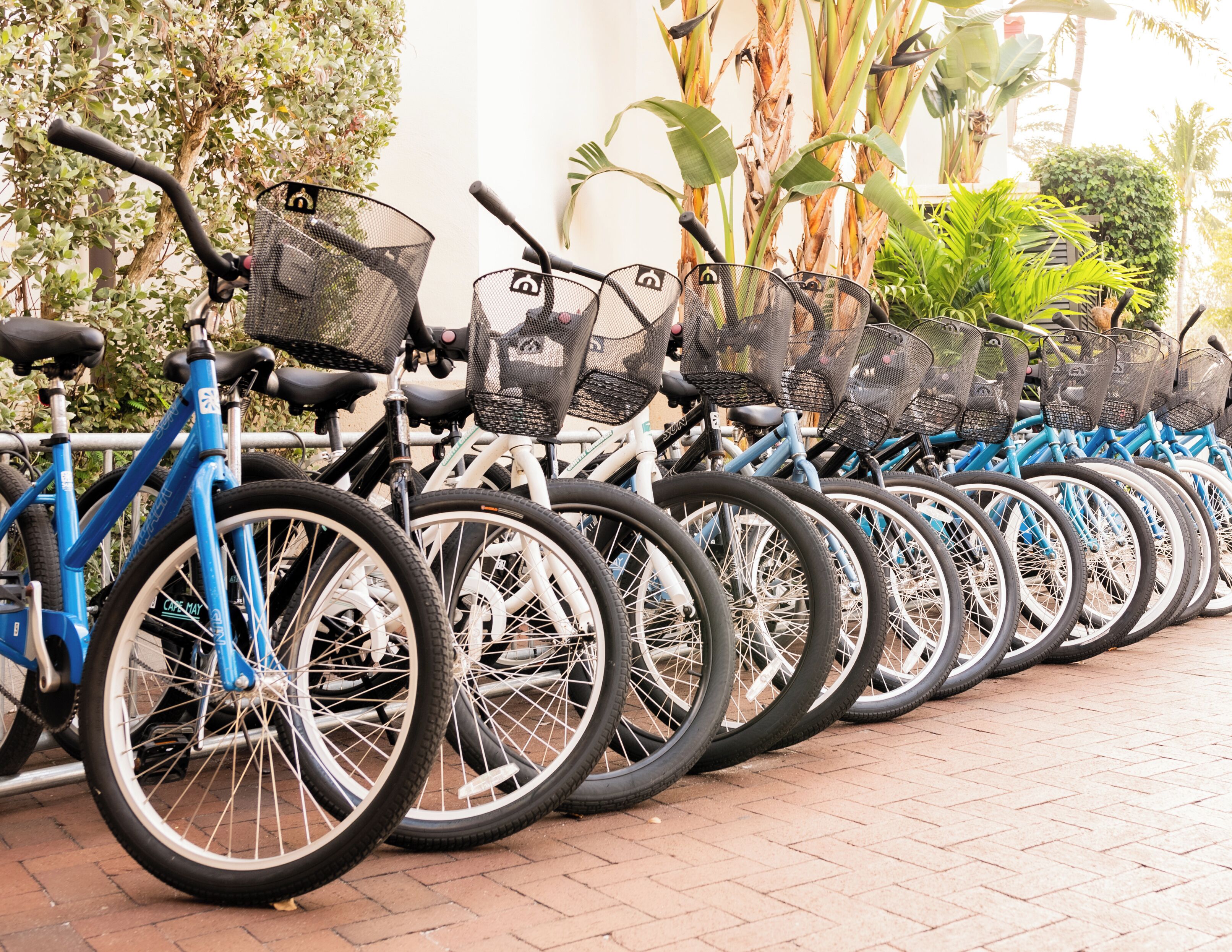 A row of bicycles with baskets, parked against a wall with plants.