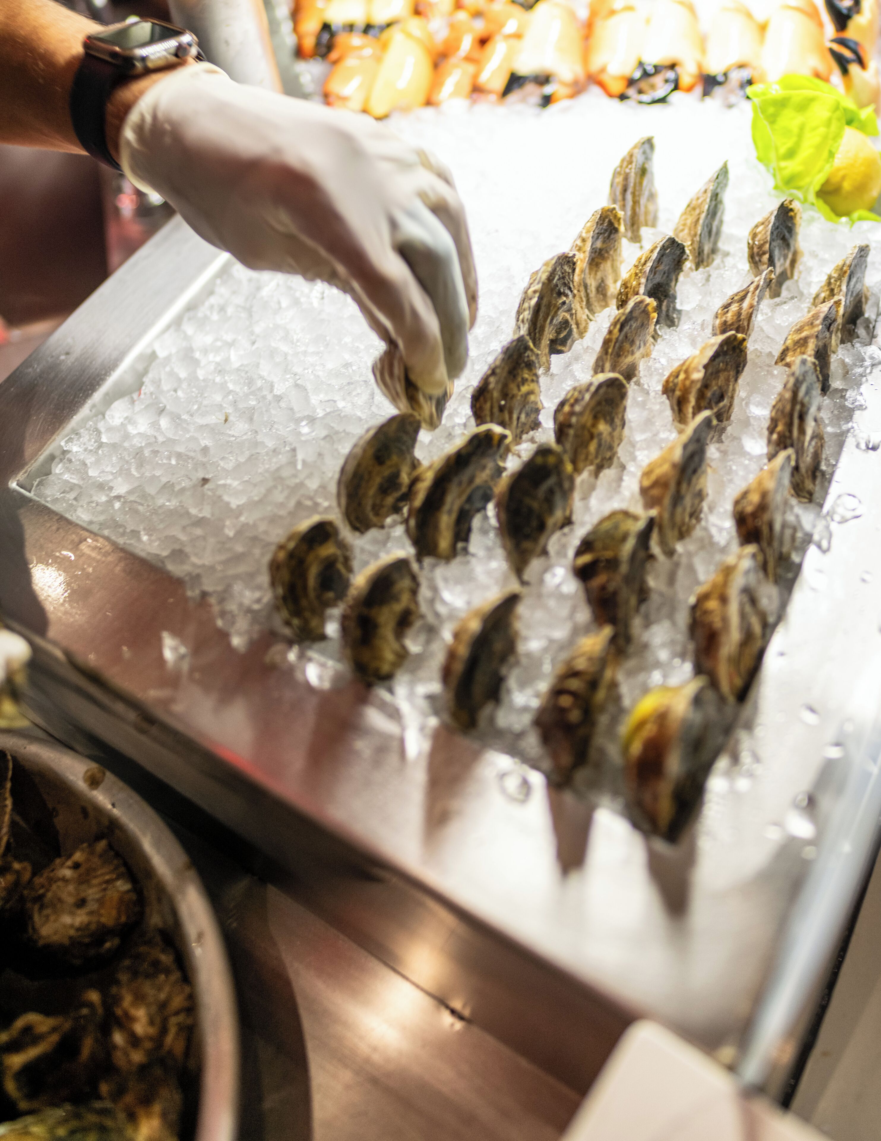 A person handling oysters on ice at a seafood market.